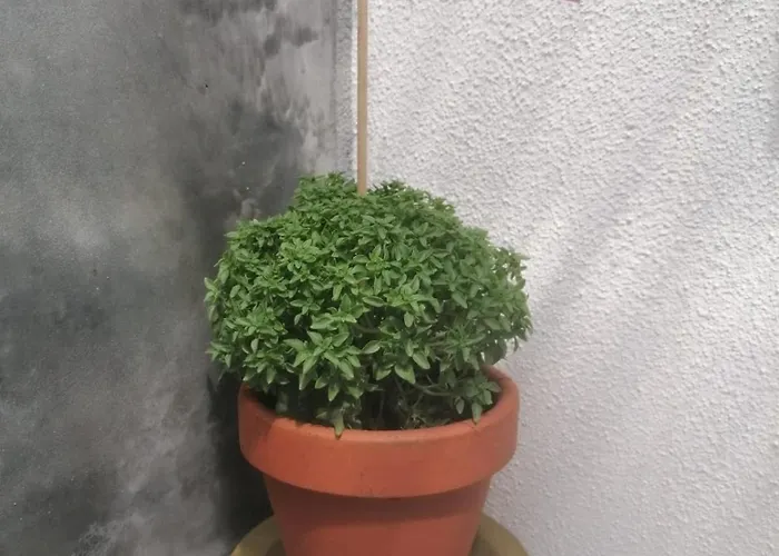 Ritual Do Mar - Com Wc - Baleal & Peniche *